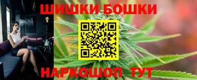 spice Гатчина