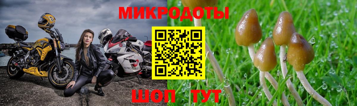 Псилоцибиновые грибы мухоморы Владикавказ